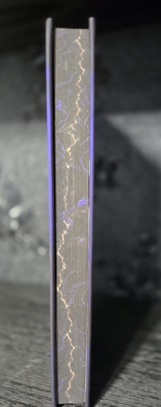 Mended Hearts · Fire & Ice Special Edition Hardcover (Foiled, Sprayed Edges)
