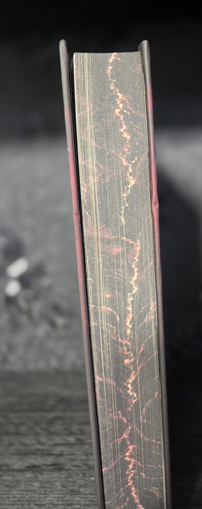 His Fight · Fire & Ice Special Edition Hardcover (Foiled, Sprayed Edges)