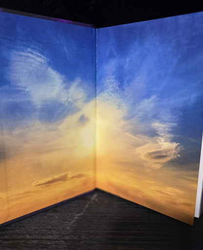 His Melody · Fire & Ice Special Edition Hardcover (Foiled, Sprayed Edges)